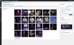 Het beheer van fotogalerijen op de website van Cultureel Café Apeldoorn