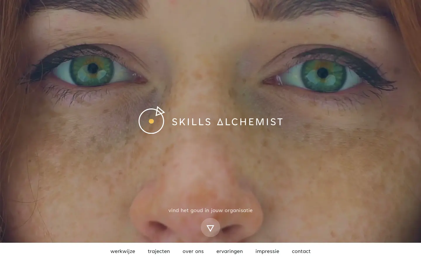 De homepagina van de website van Skills Alchemist
